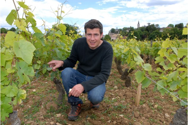 DOMAINE VINCENT DUREUIL-JANTHIAL