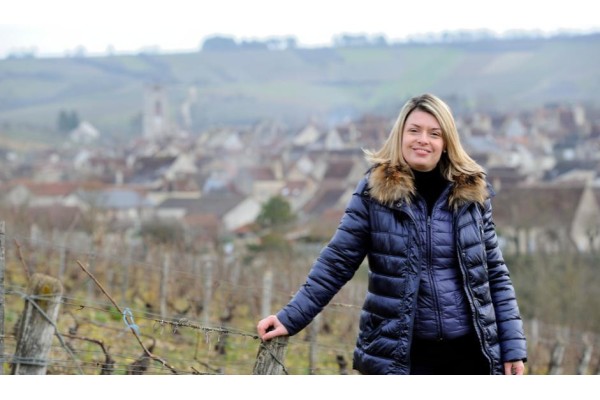 DOMAINE COLINOT IRANCY